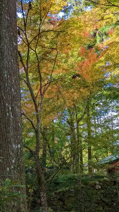 三千院門跡(京都府)