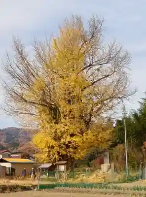 長言寺(埼玉県)