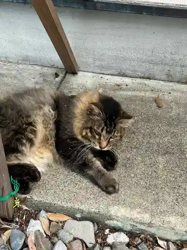 唐澤山神社(栃木県)