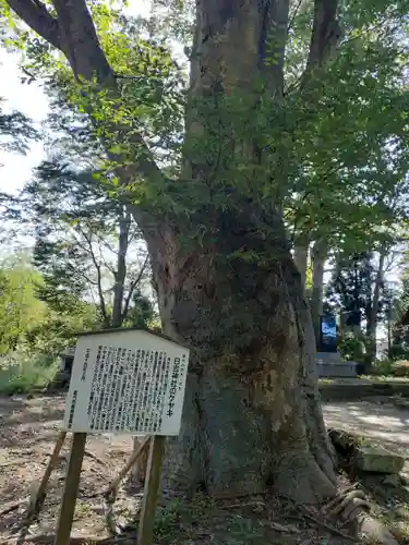 日吉神社(秋田県)