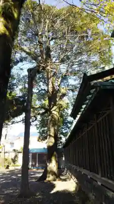 青木神社の自然