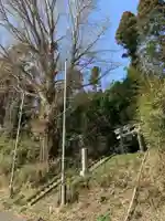 大椎八幡神社(千葉県)