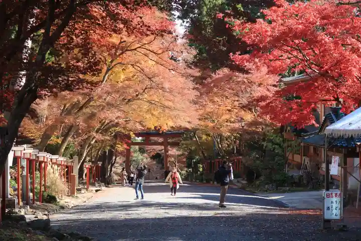 日吉大社の鳥居