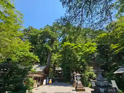 赤城神社(三夜沢町)(群馬県)