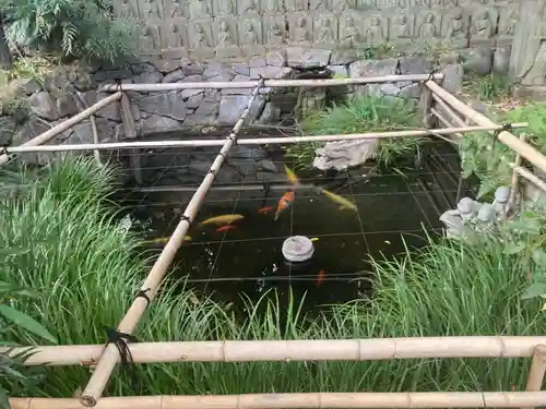 大圓寺(東京都)