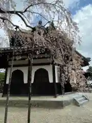 善峯寺の建物その他