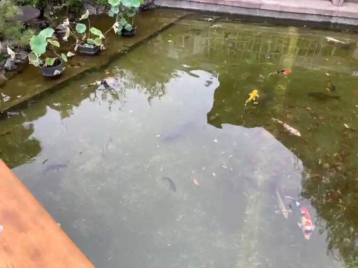 川崎大師(平間寺)(神奈川県)