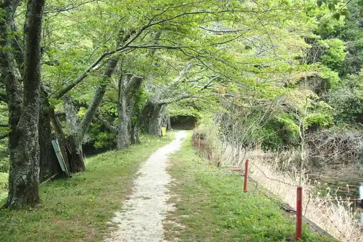 八大龍王弁財天大神(奈良県)