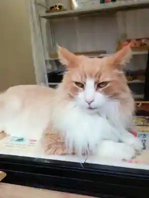 駒込妙義神社(東京都)