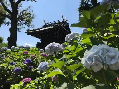 白山神社の建物その他