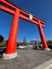 富士山本宮浅間大社(静岡県)