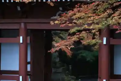 神峯山寺(大阪府)