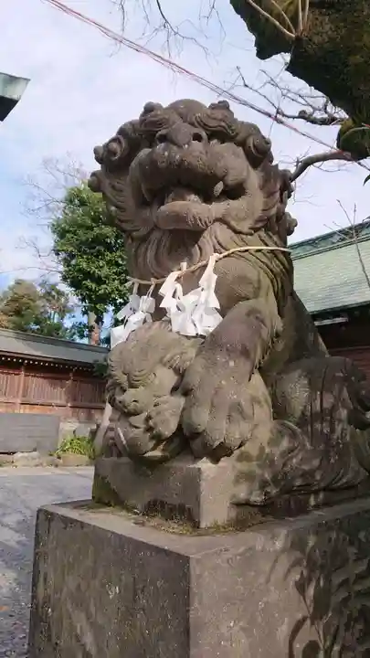 鳩ヶ谷氷川神社の狛犬