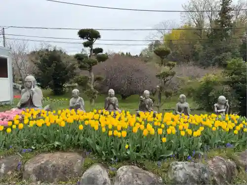 泉蔵寺(神奈川県)