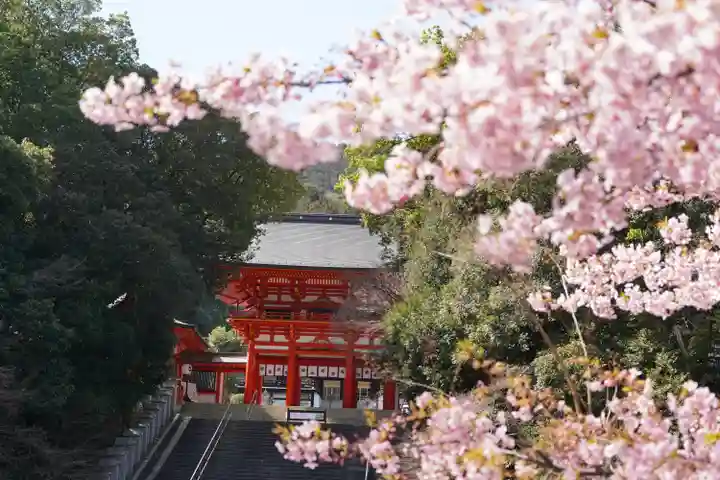 近江神宮(滋賀県)