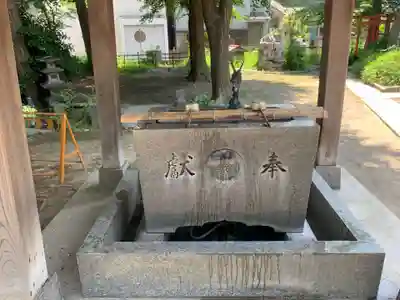 若宮八幡宮 の手水舎