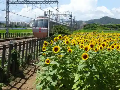 伊勢原 法泉寺の自然