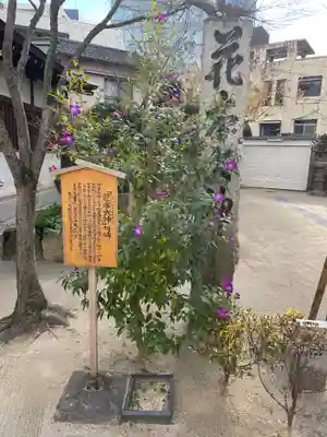櫛田神社(福岡県)