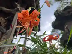 秩父札所十三番 慈眼寺(埼玉県)