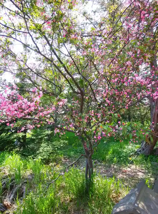 山本稲荷神社(北海道)