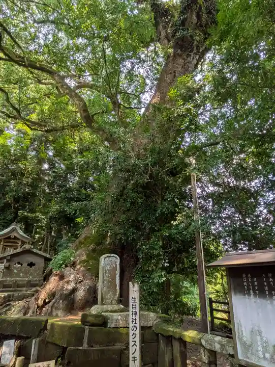 生目神社(宮崎県)