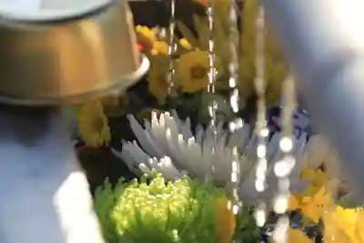 豊景神社の手水舎