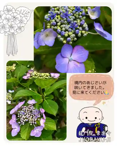 【公式】龍門院常楽寺（秩父札所十一番）(埼玉県)