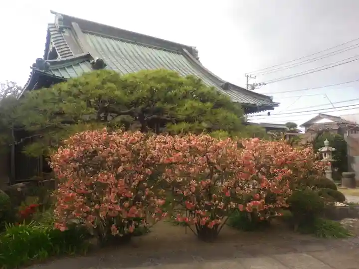 九品寺のその他建物