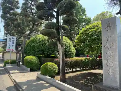 如意輪寺(東京都)