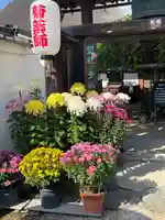 金剛寺(奈良県)