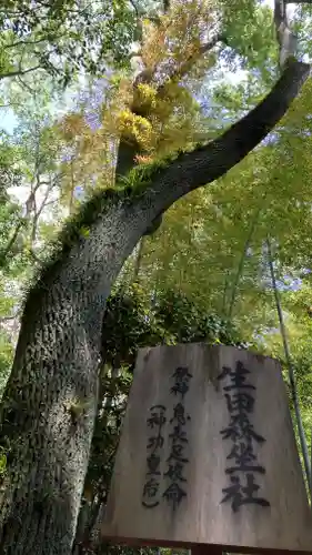 生田神社(兵庫県)