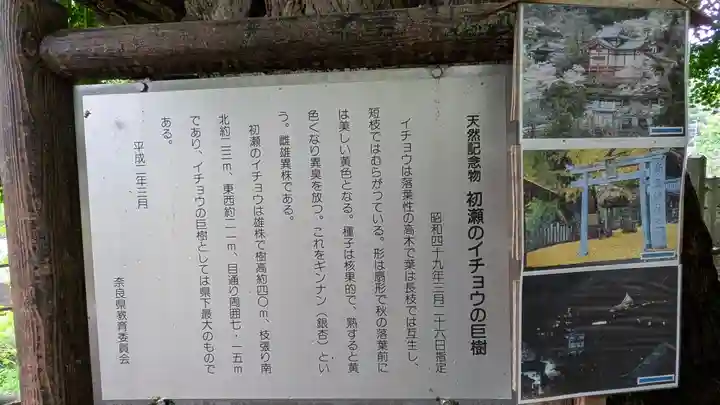 素盞雄神社(奈良県)