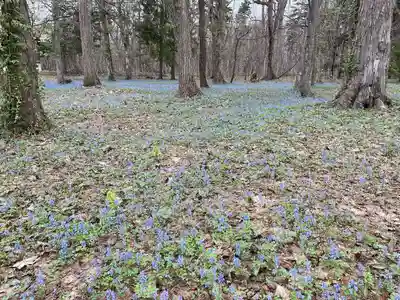 浦臼神社(北海道)