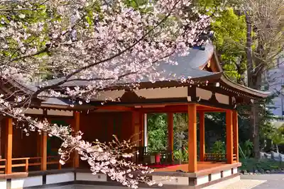 阿佐ヶ谷神明宮(東京都)