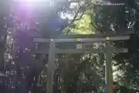 明治神宮(東京都)