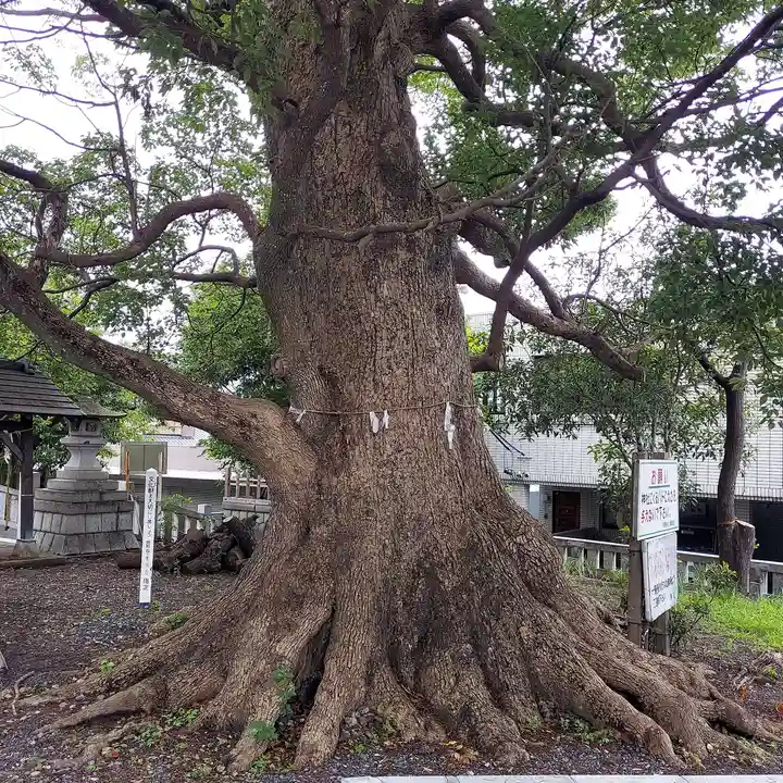 下清水八幡神社(静岡県)