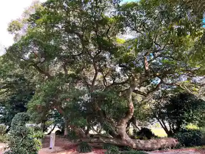志登神社(福岡県)