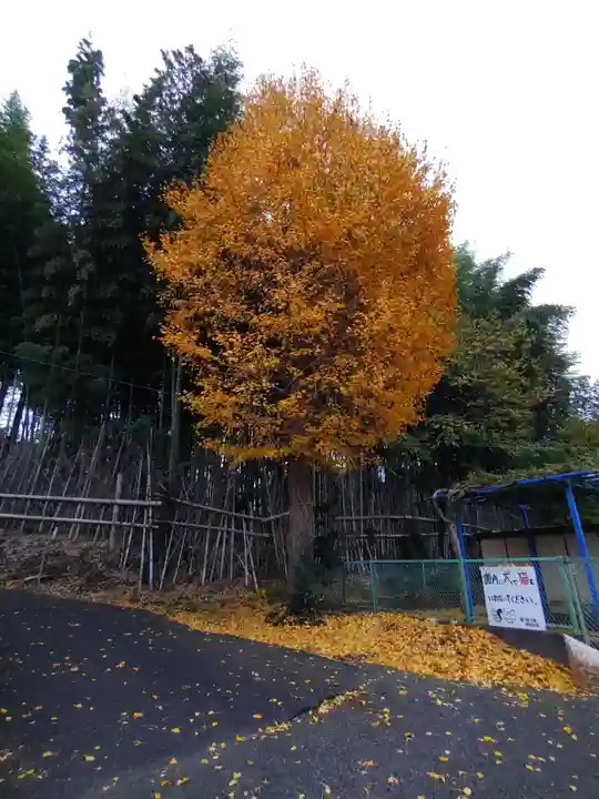 八坂神社(東京都)