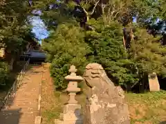 日月神社の狛犬