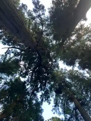大宮温泉神社(栃木県)