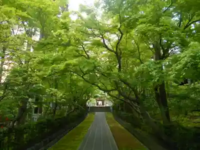 天嶽院のその他建物