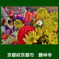 勝林寺の手水舎