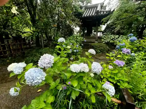 資福寺の{uncategorized: "未分類", other: "その他", undefined: "問題あり", building: "その他建物", grave: "お墓", sacred_gate: "鳥居", guardian: "狛犬", statue: "像", buddha: "仏像", history: "歴史", nature: "自然", garden: "庭園", animal: "動物", pagoda: "塔", temizu: "手水舎", mountain_gate: "山門・神門", sanctuary: "本殿・本堂", subordinate: "末社・摂社", art: "芸術", scenery: "景色", jizo: "地蔵", ema: "絵馬", goshuin: "御朱印", omikuji: "おみくじ", items: "授与品その他", amulet: "お守り", goshuincho: "御朱印帳", eats: "食事", festival: "お祭り", votive_dance: "神楽", shichigosan: "七五三参", wedding: "結婚式", experience: "体験その他", initially: "初詣", around: "周辺", anti_infection: "感染症対策"}