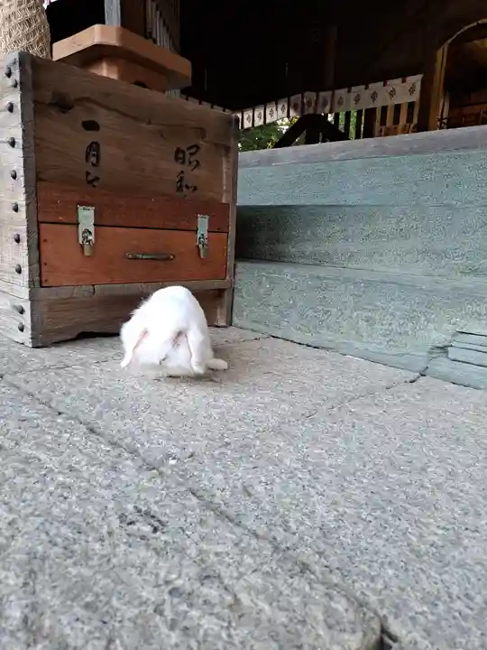 大御和神社(徳島県)