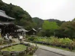 三室戸寺の建物その他