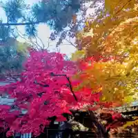 彌彦神社 (伊夜日子神社)(北海道)