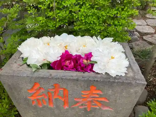 塚越稲荷神社の手水