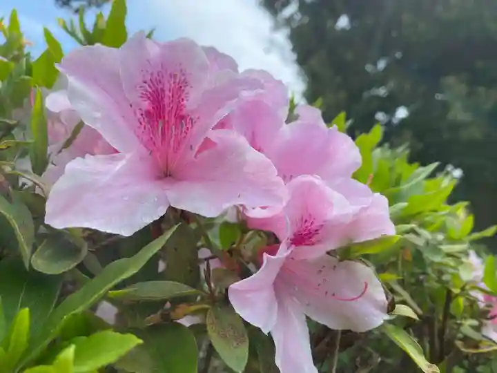 美奈宜神社(福岡県)
