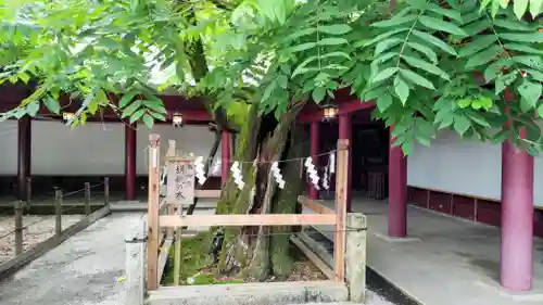 笠間稲荷神社(茨城県)
