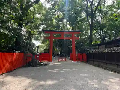 河合神社(鴨川合坐小社宅神社)の鳥居